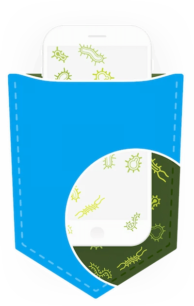 Phone In Pocket