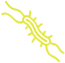Phone germ 11