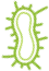 Phone germ 12